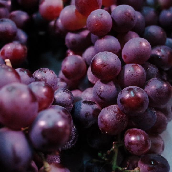 富含色氨酸的食物有哪些